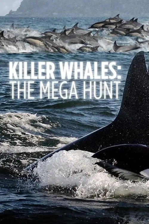 Killer Whales: The Mega Hunt_peliplat