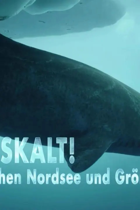 Haie eiskalt! Jäger zwischen Nordsee und Grönland_peliplat