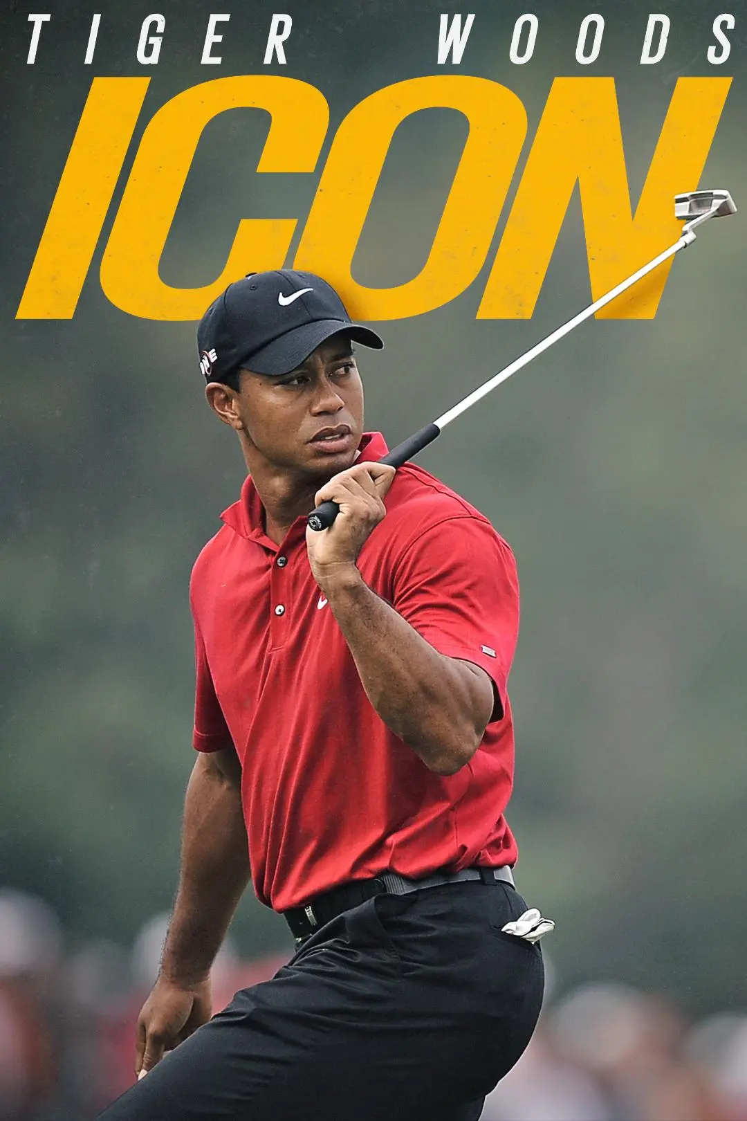 Tiger Woods: Icon_peliplat
