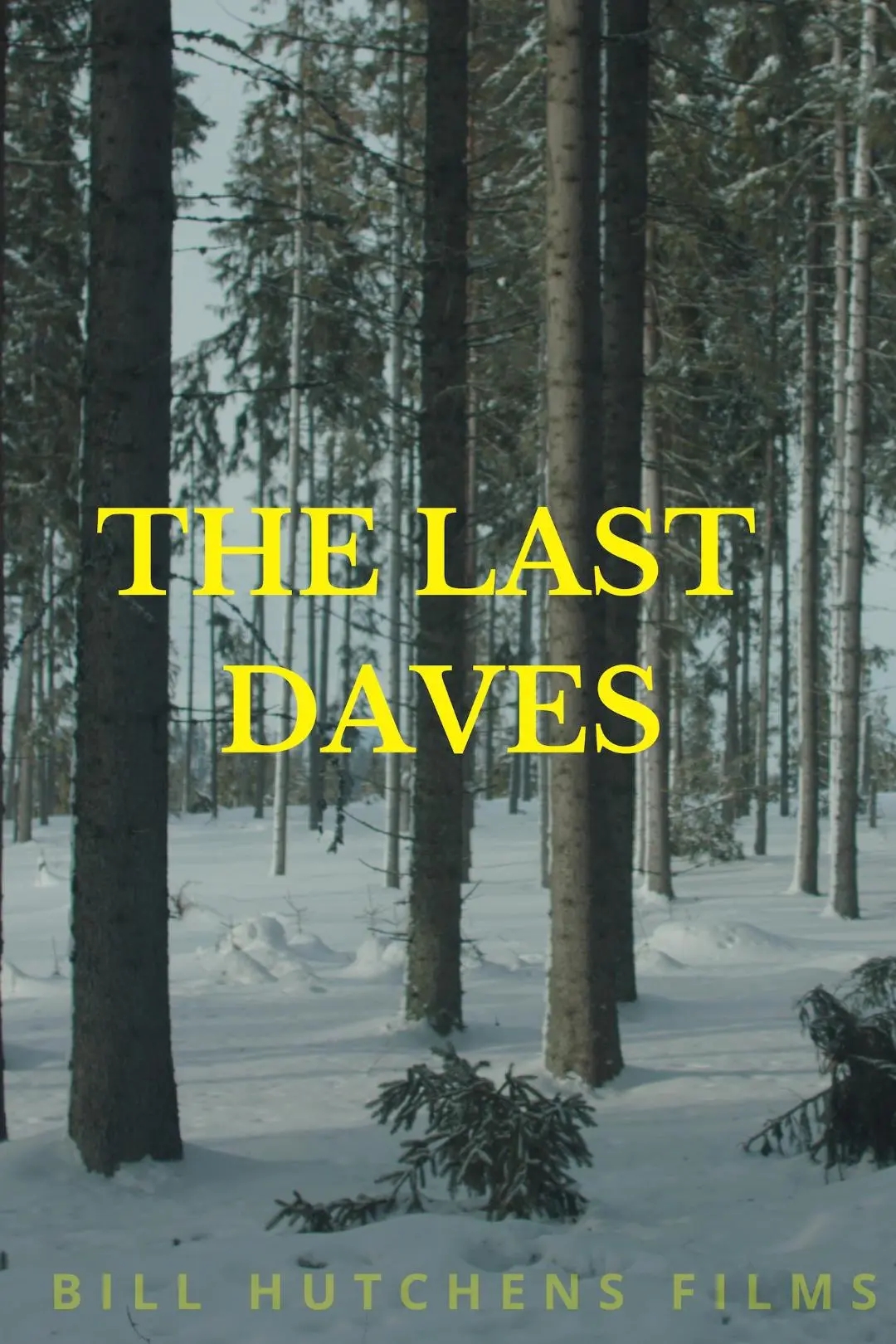 The Last Daves_peliplat
