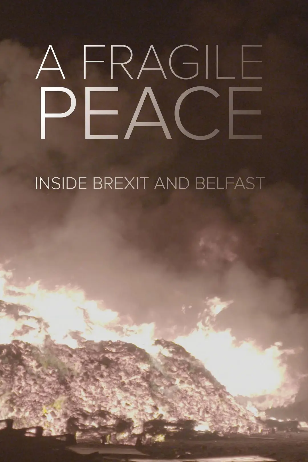 A Fragile Peace: Inside Brexit and Belfast_peliplat
