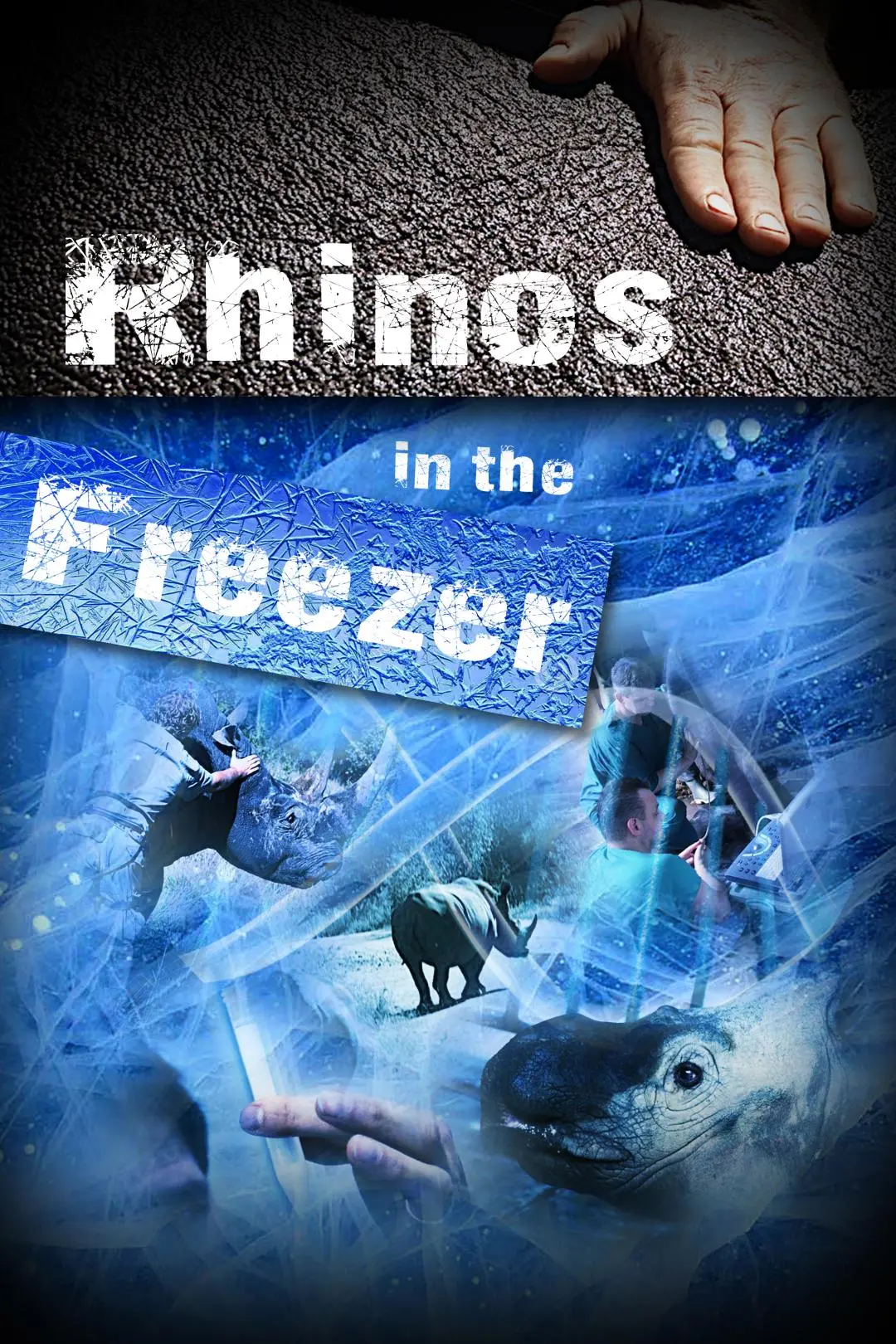 Rhinos in the Freezer_peliplat