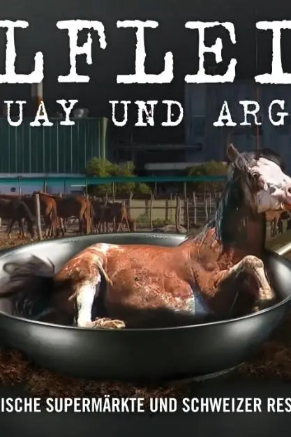 Horsemeat from Torturous Production from Uruguay to Argentina_peliplat