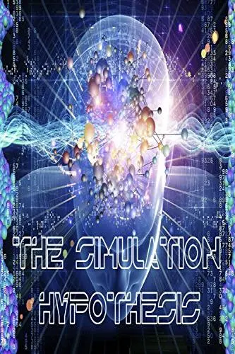 The Simulation Hypothesis_peliplat