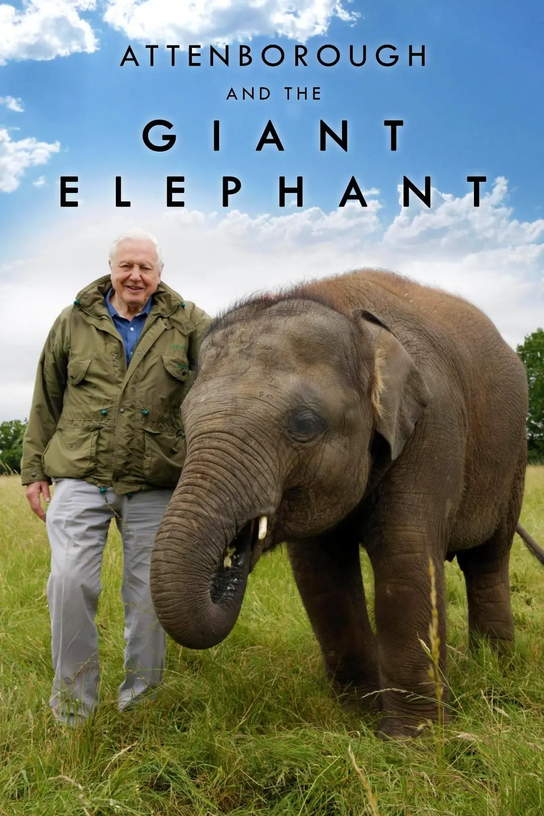 Attenborough and the Giant Elephant_peliplat