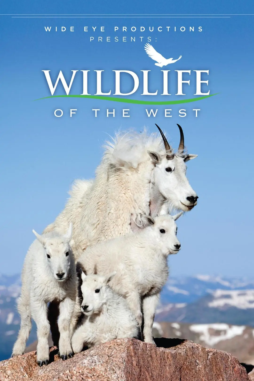 Wildlife of the West_peliplat