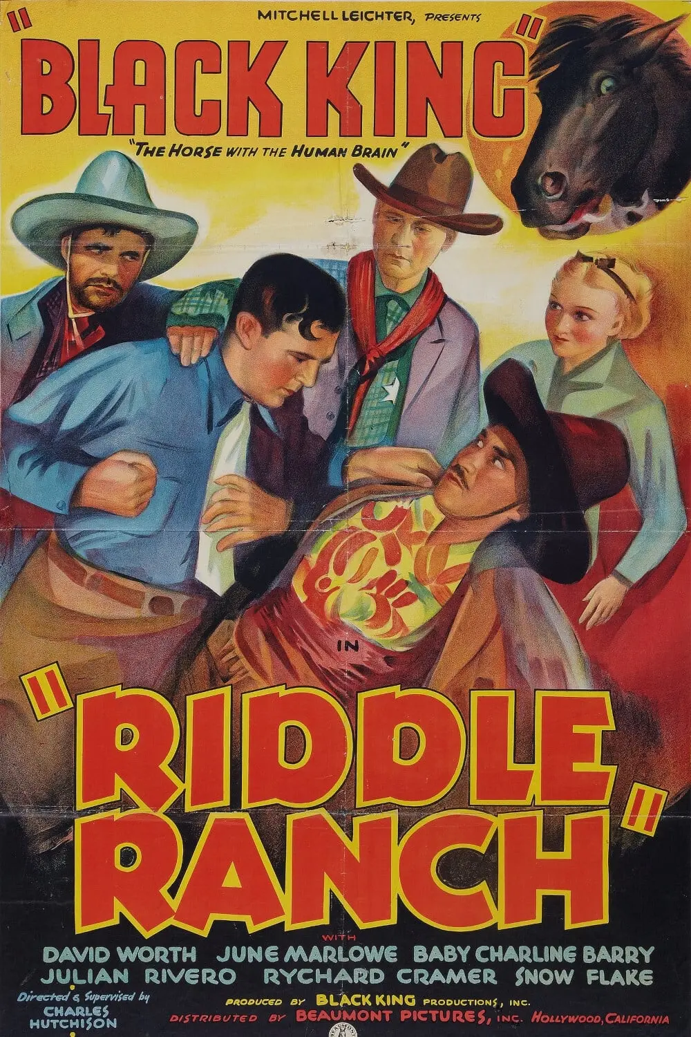 Riddle Ranch_peliplat