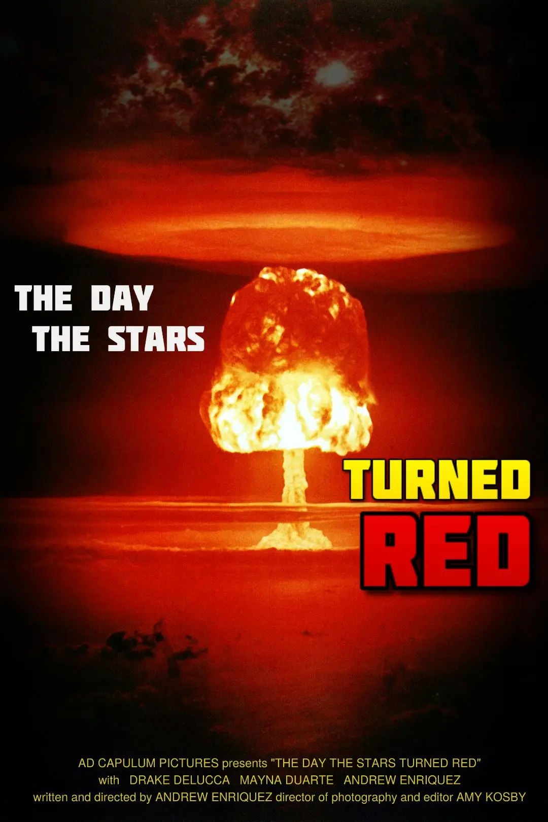 The Day the Stars Turned Red_peliplat