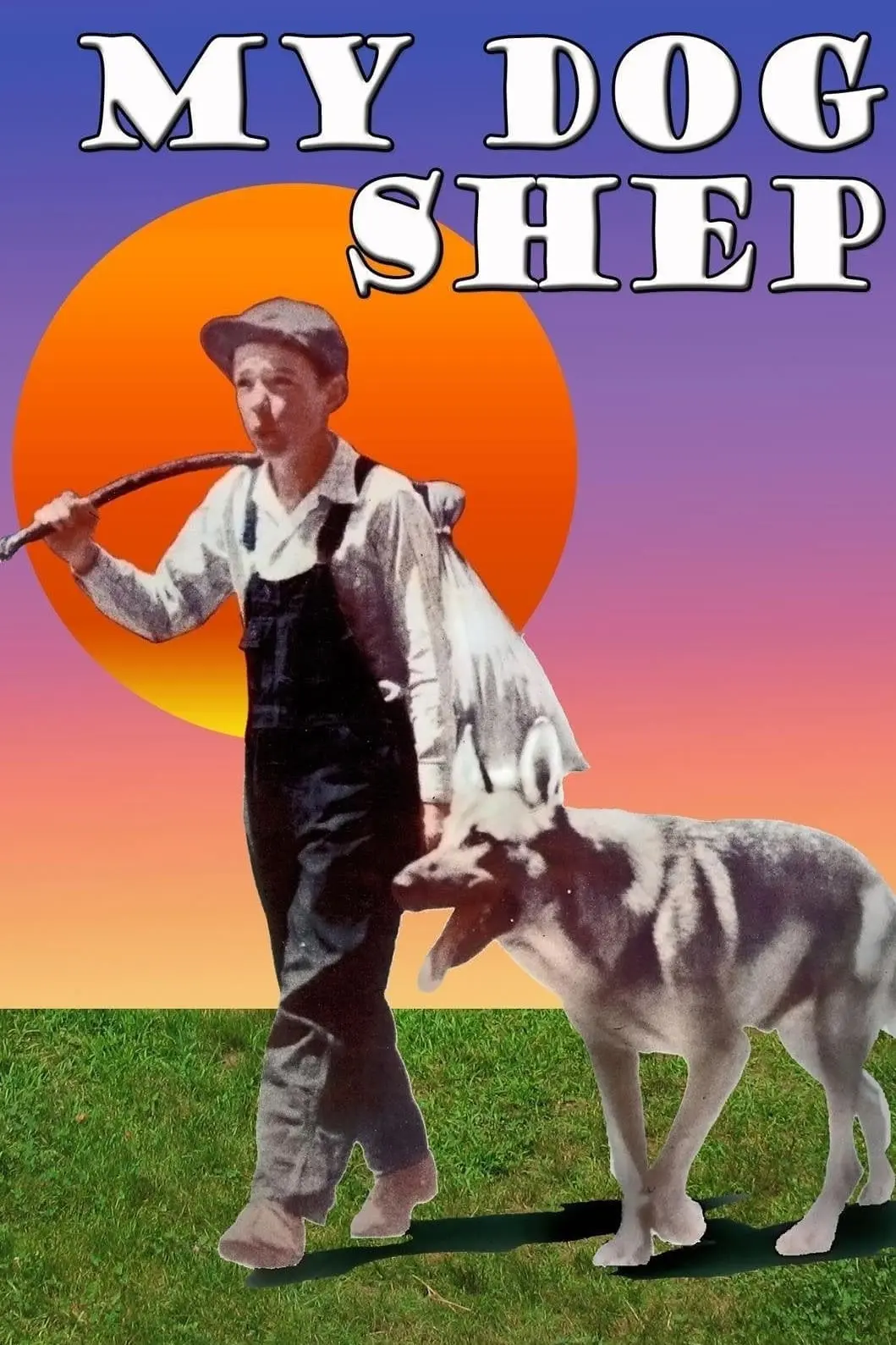 My Dog Shep_peliplat