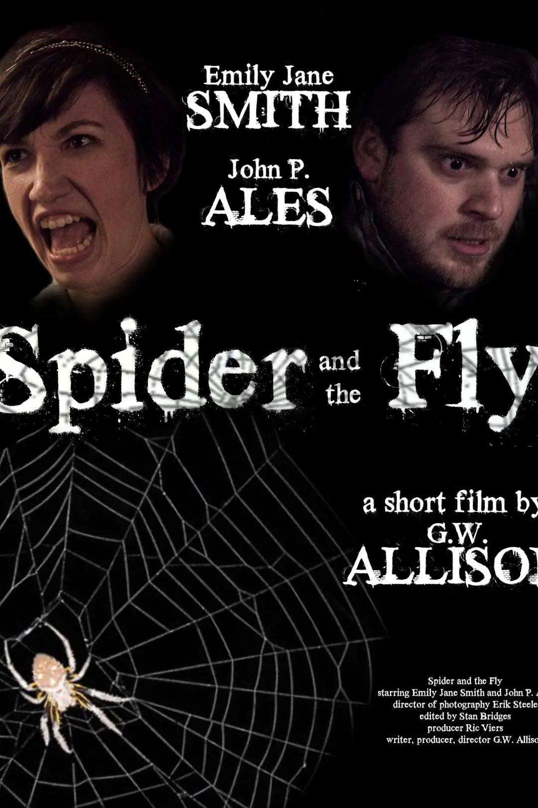 Spider and the Fly_peliplat