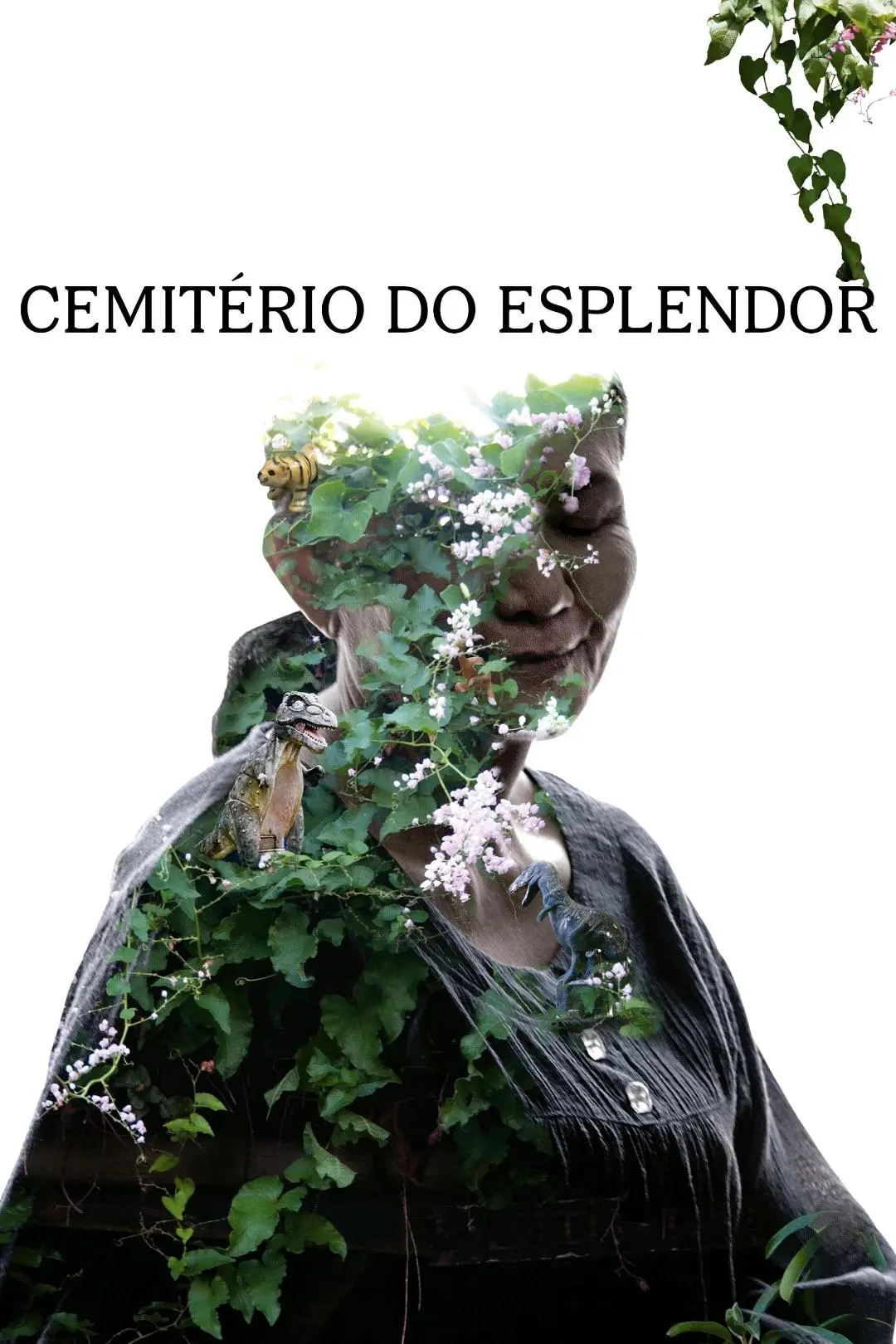 Cemitério de Esplendor_peliplat