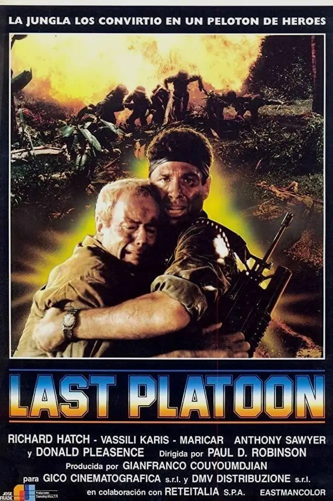 Last platoon_peliplat