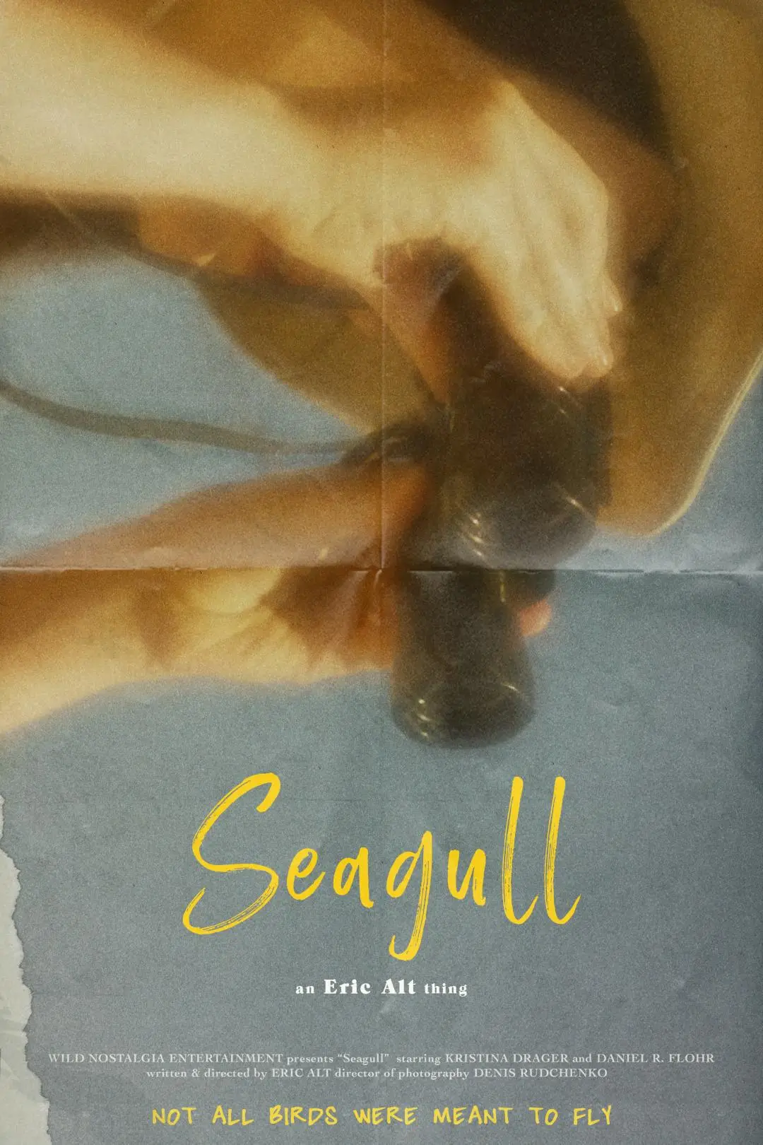 Seagull_peliplat