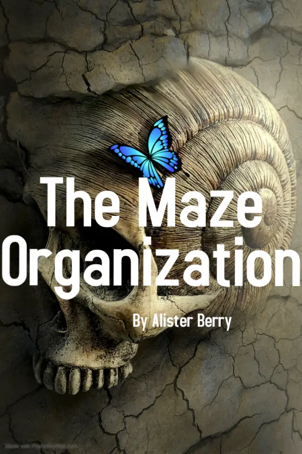 The Maze Organization_peliplat