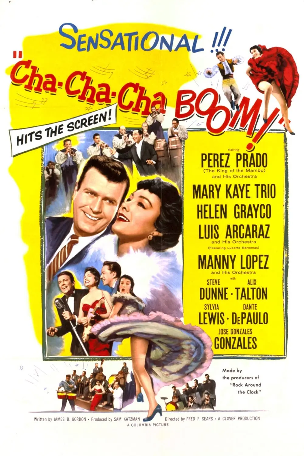 Cha-Cha-Cha Boom!_peliplat