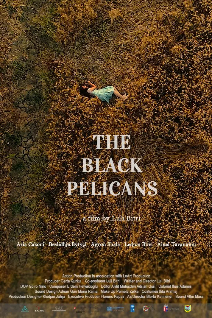 The Black Pelicans_peliplat