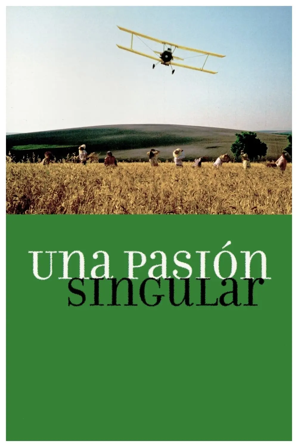 Una pasión singular_peliplat