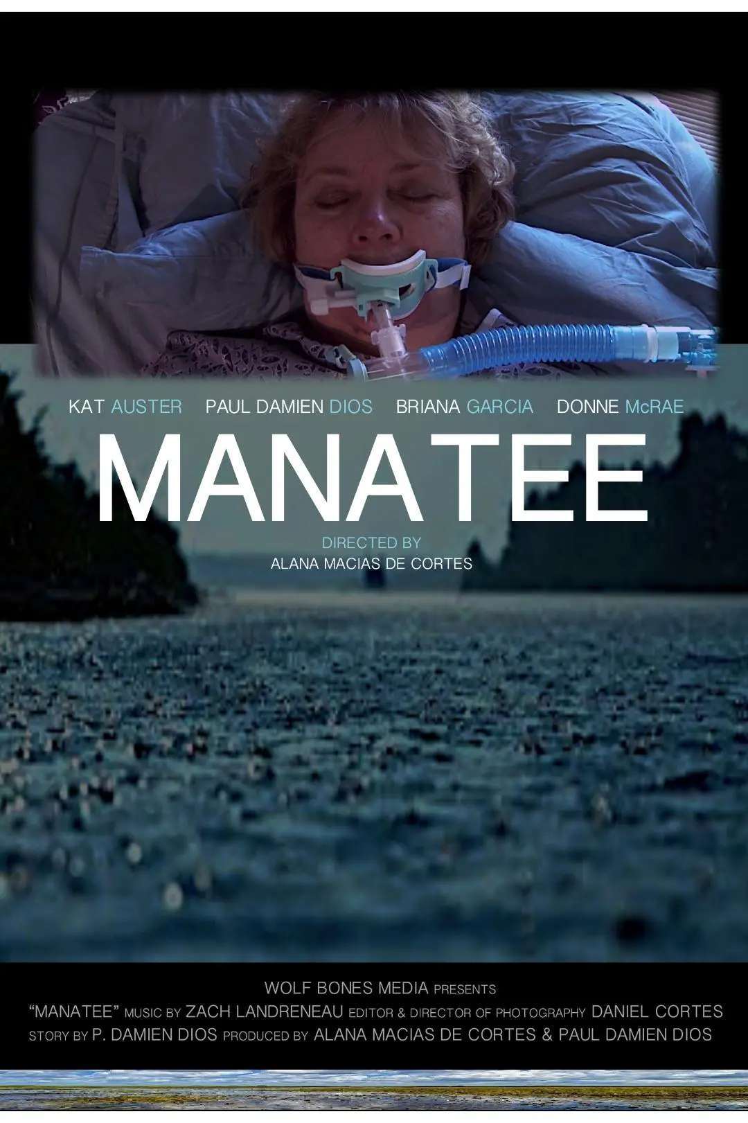 Manatee_peliplat