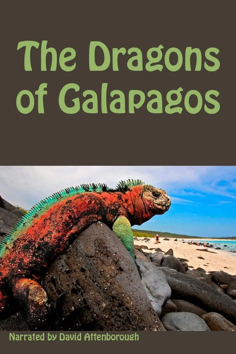 The Dragons of Galapagos_peliplat