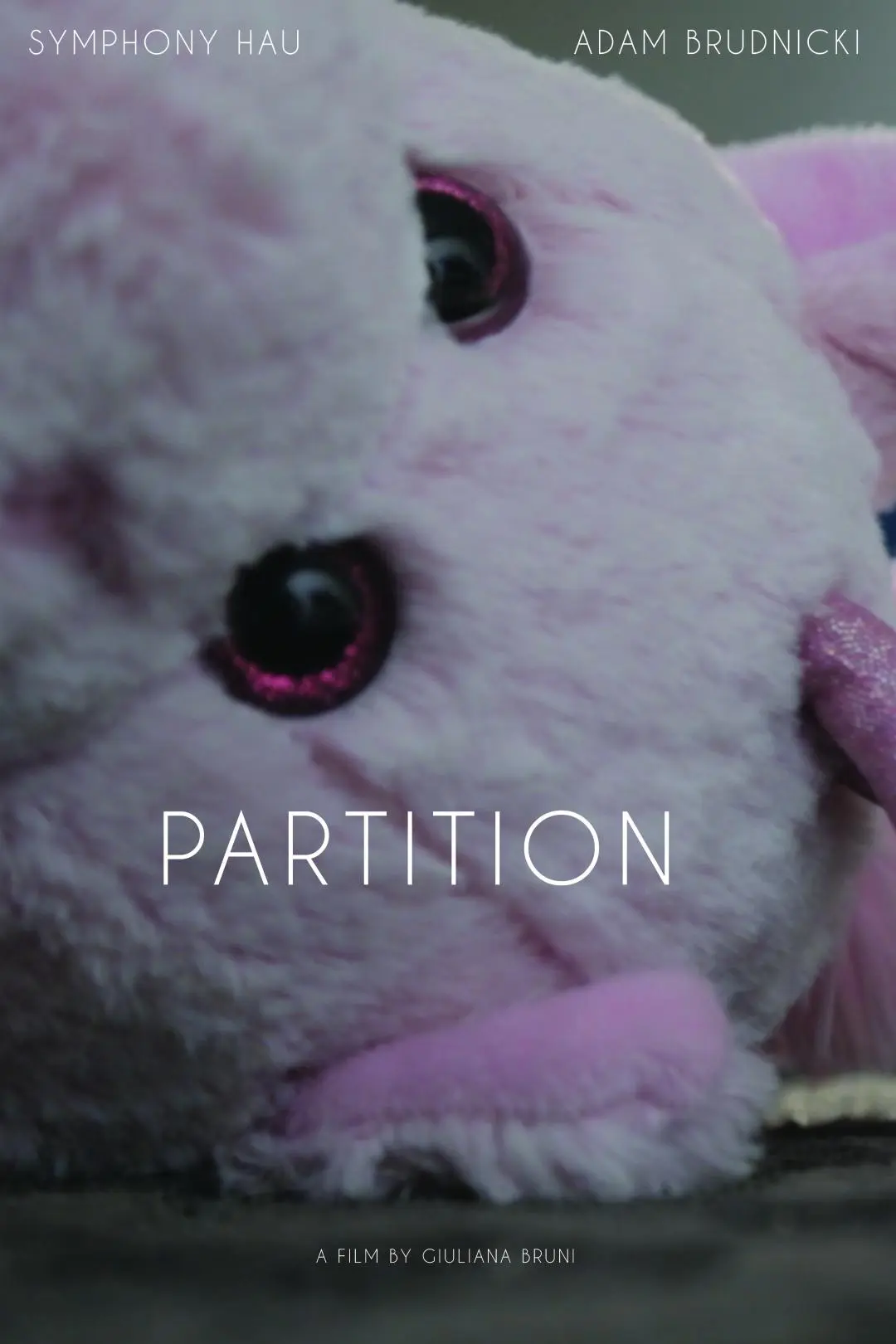 Partition_peliplat