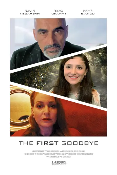 The First Goodbye_peliplat