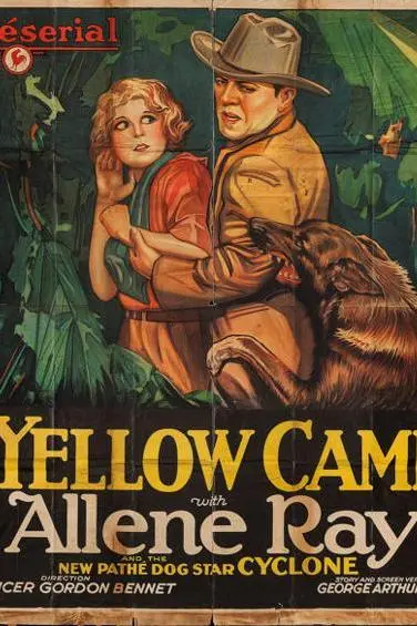 The Yellow Cameo_peliplat