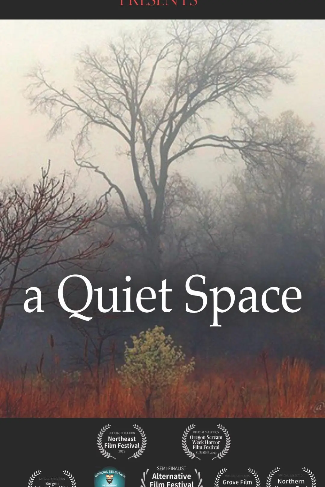 A Quiet Space_peliplat