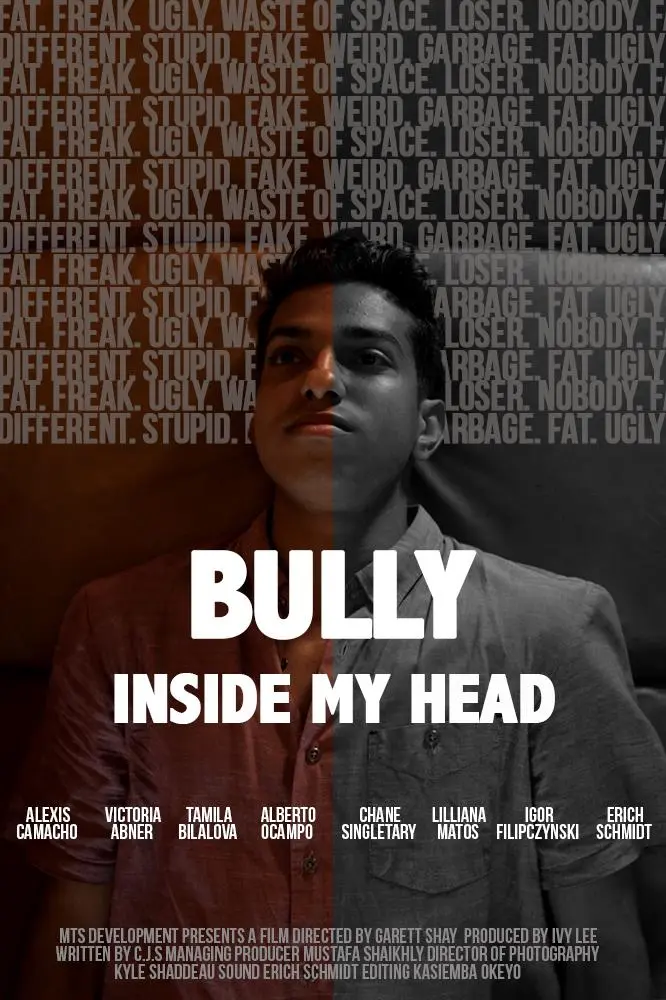 The Bully Inside My Head_peliplat