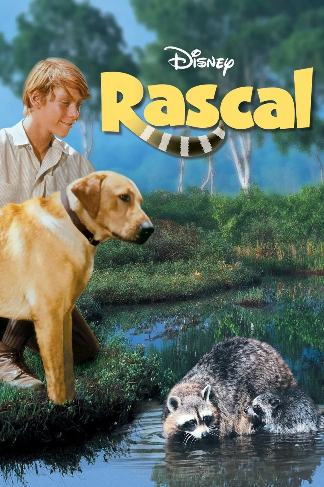 Rascal, o Amiguinho Travesso_peliplat