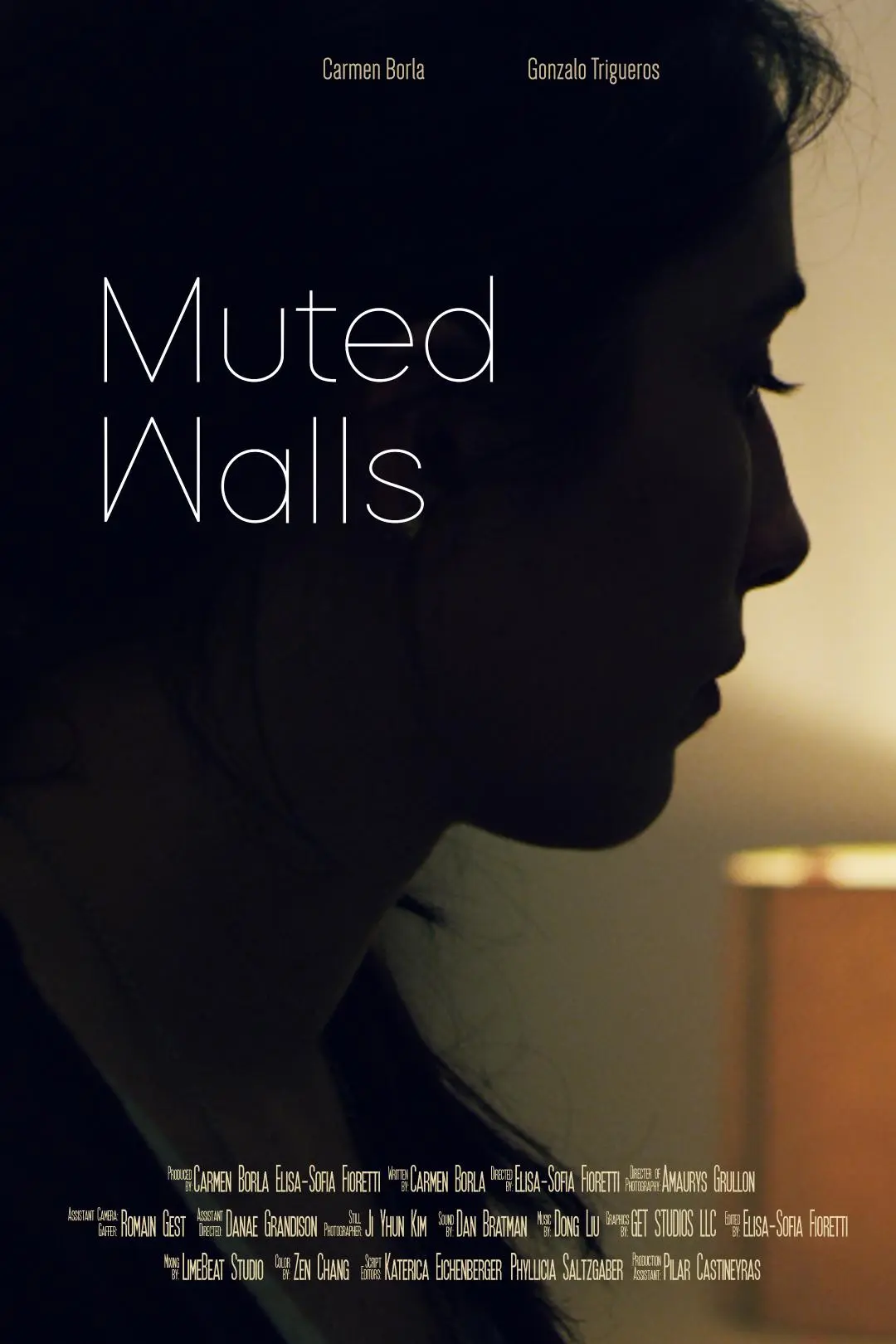 Muted Walls_peliplat