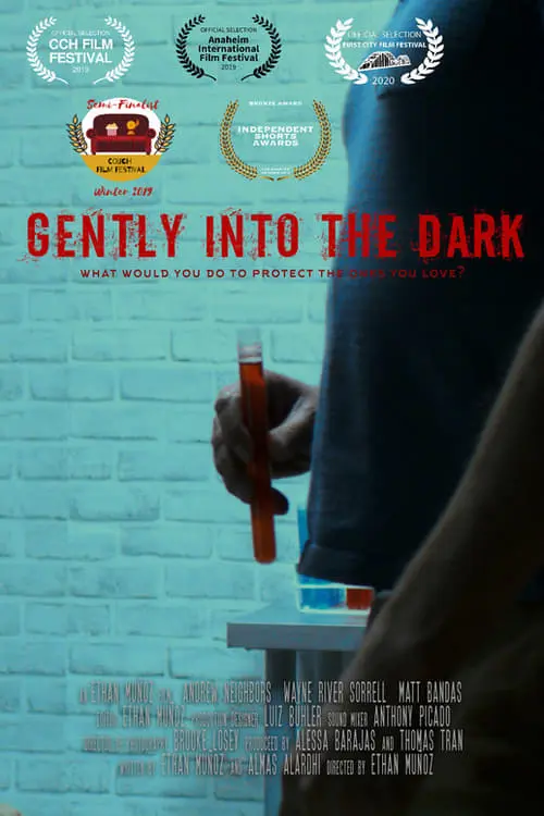 Gently Into the Dark_peliplat