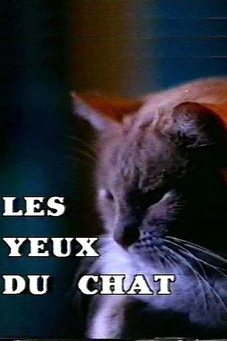 Les yeux du chat_peliplat