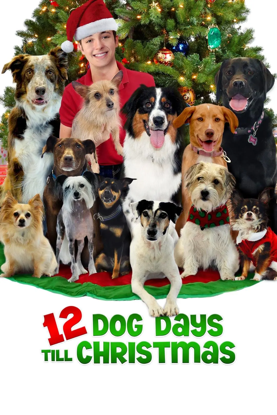 12 días perros hasta Navidad_peliplat