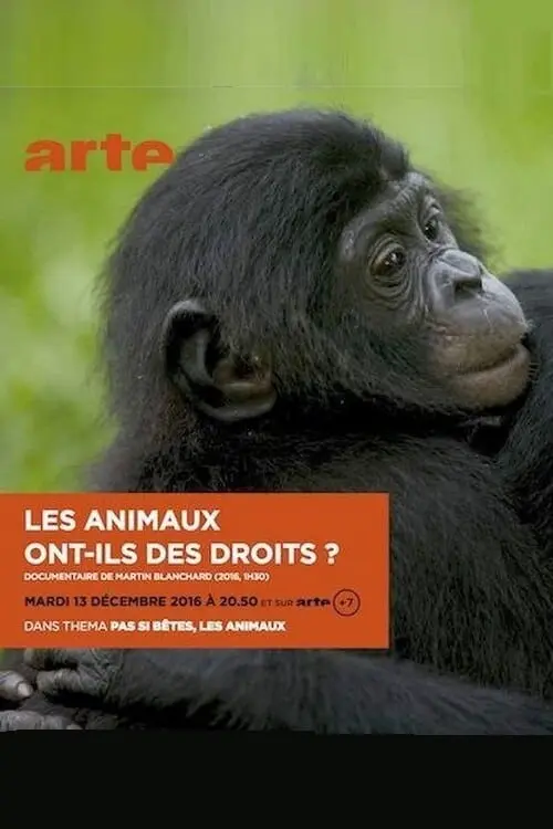 Les animaux ont ils des droits?_peliplat