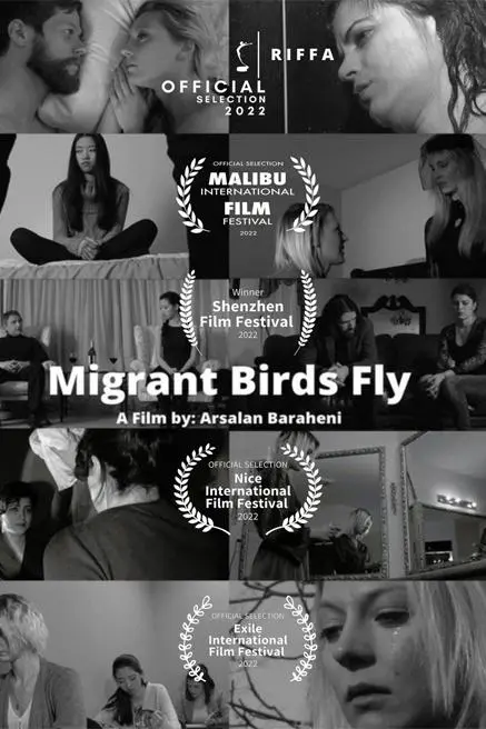 Migrant Birds Fly_peliplat