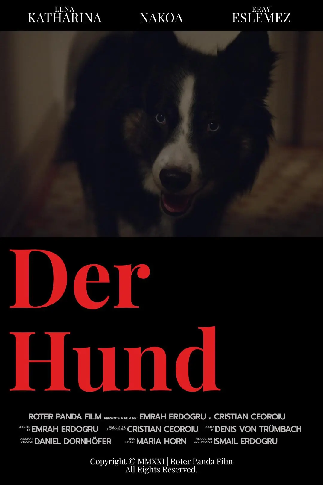 Der Hund_peliplat