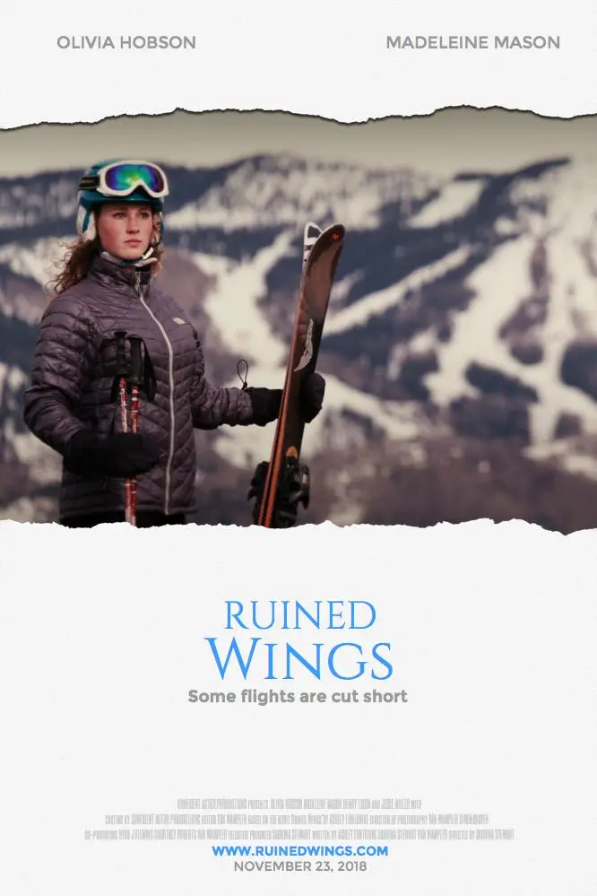 Ruined Wings_peliplat