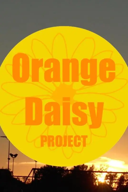 Orange Daisy Project_peliplat