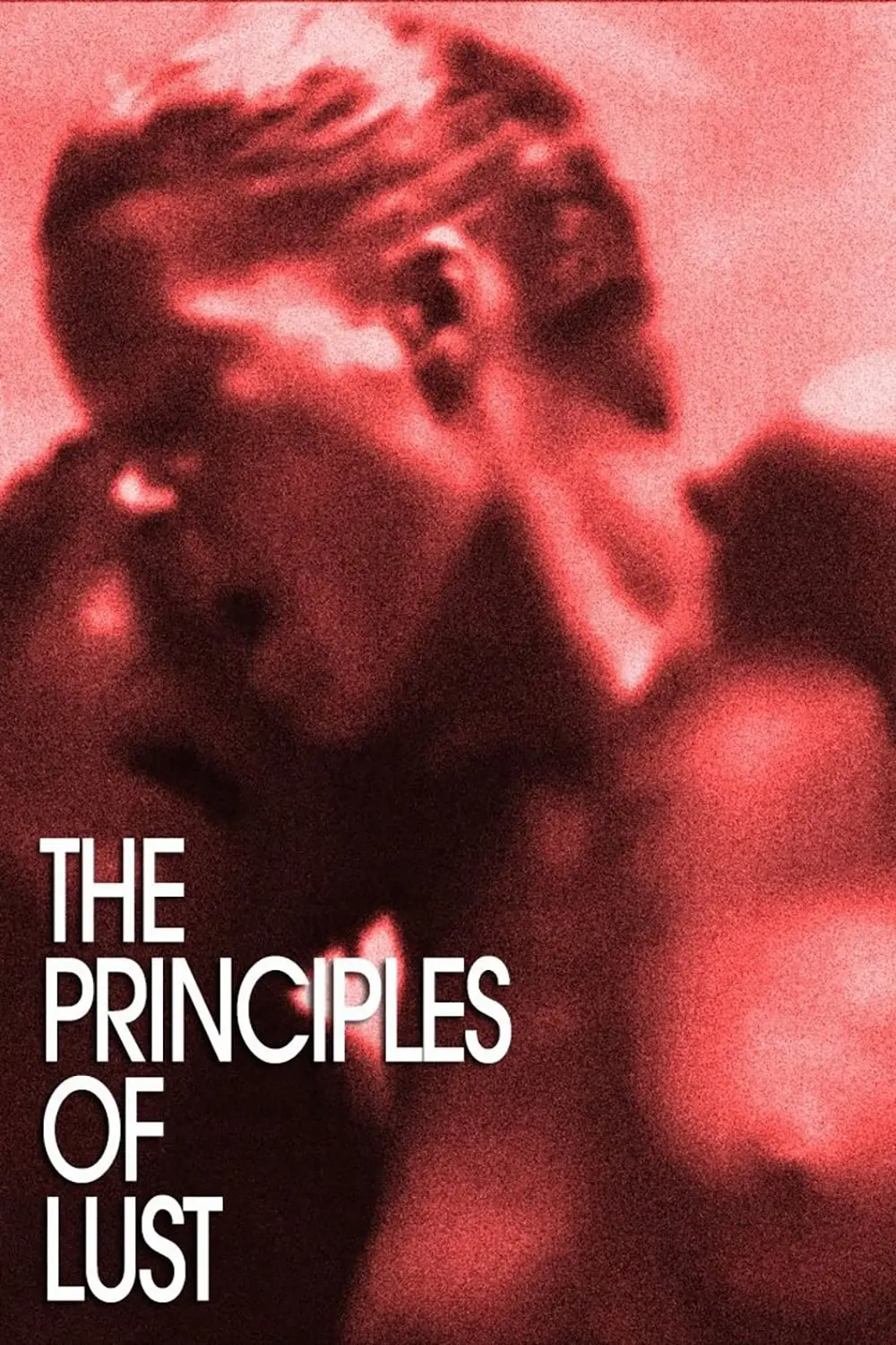 The Principles of Lust_peliplat