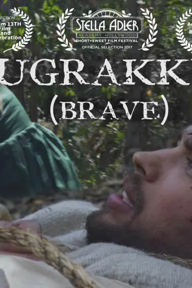 Hugrakkur (Brave)_peliplat