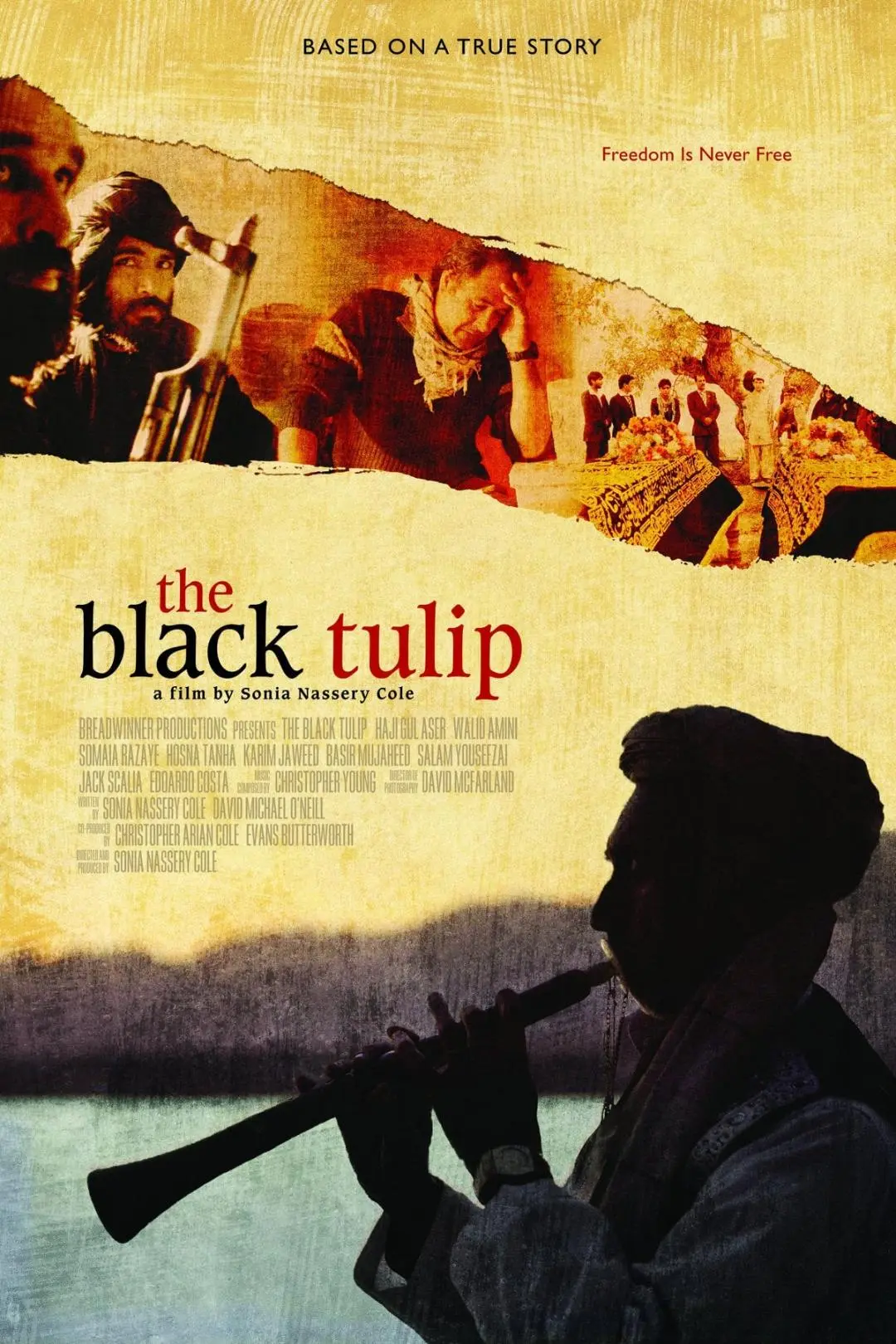 The Black Tulip_peliplat