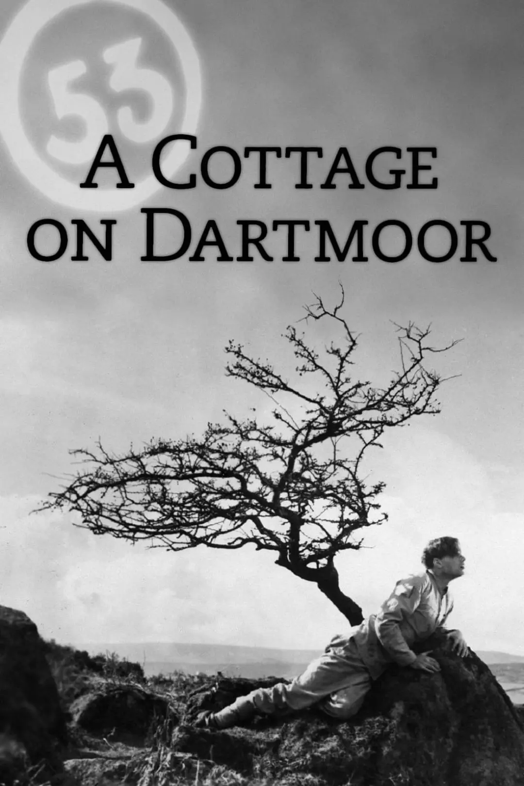 Uma Casa em Dartmoor_peliplat