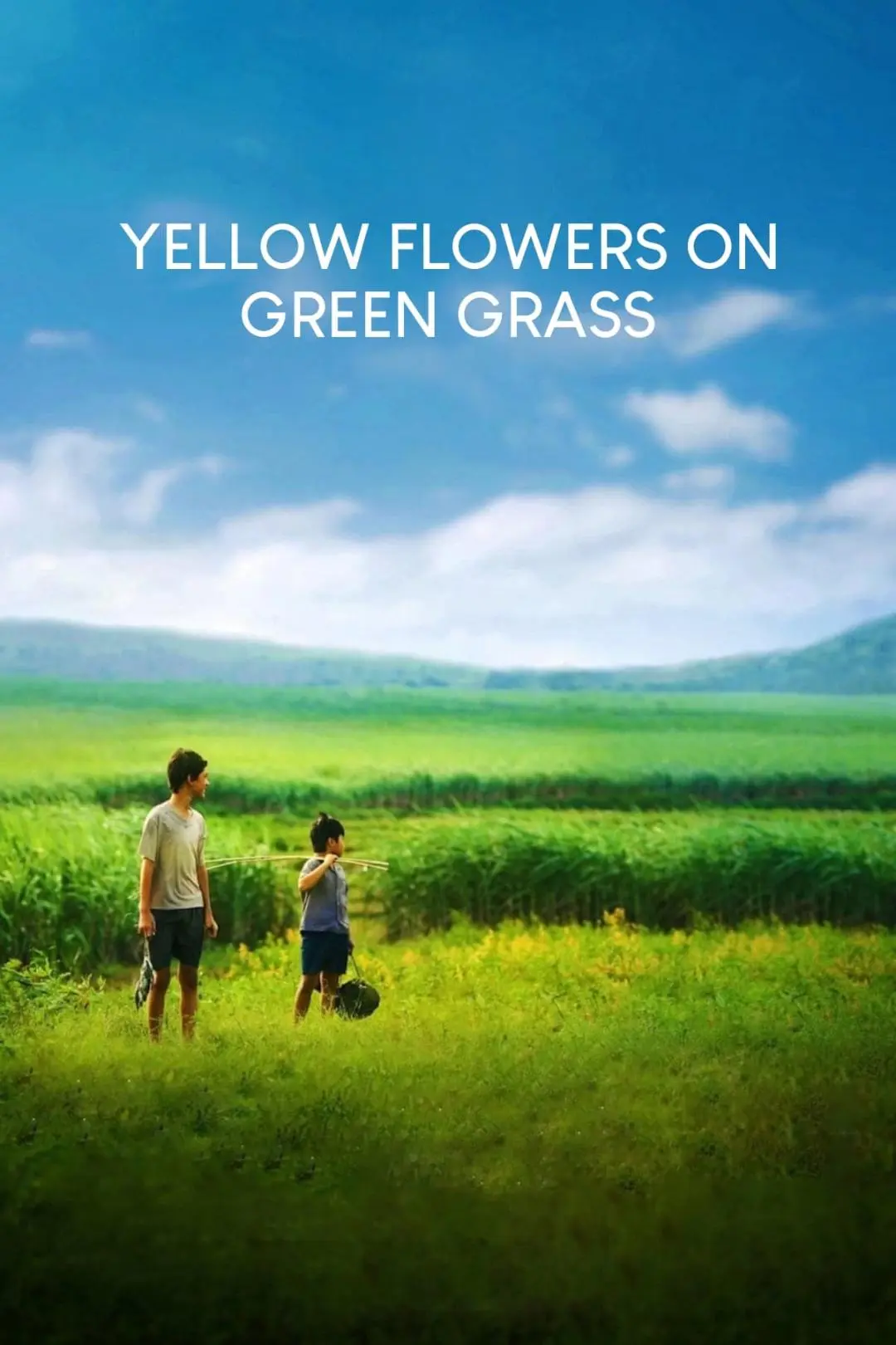 Yellow Flowers on the Green Grass_peliplat