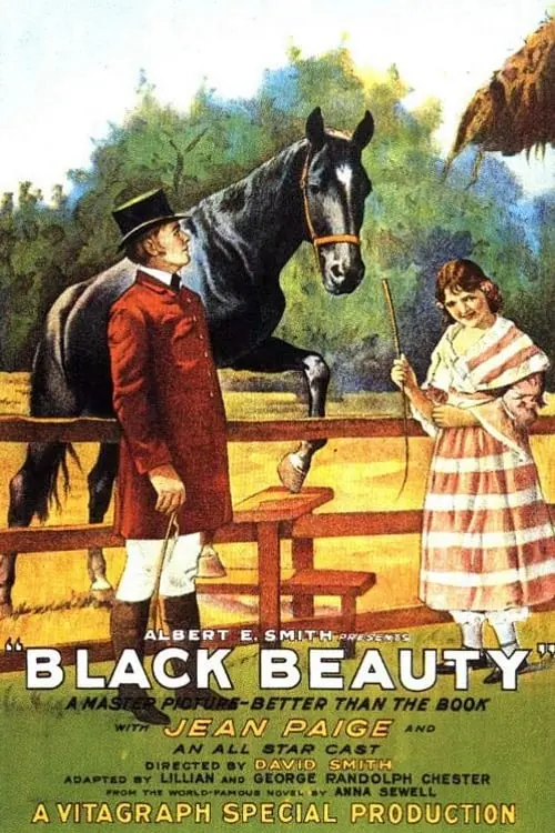 Black Beauty_peliplat