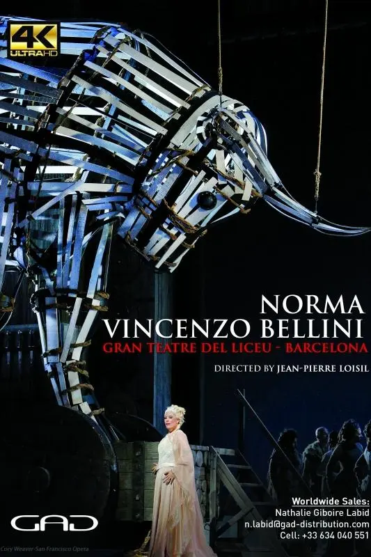 Norma de Vincenzo Bellini au Gran Teatre del Liceu_peliplat