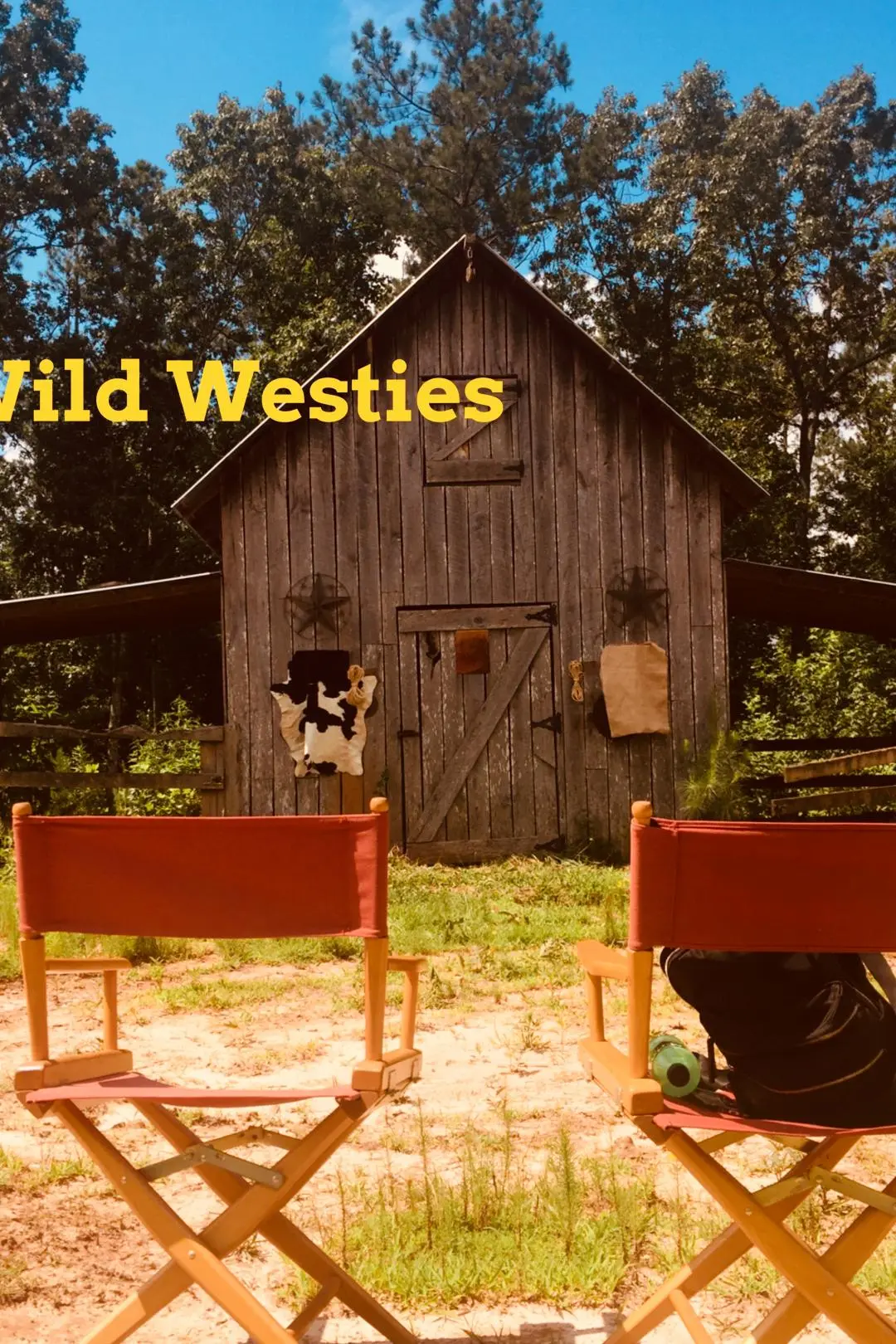 Wild Westies_peliplat