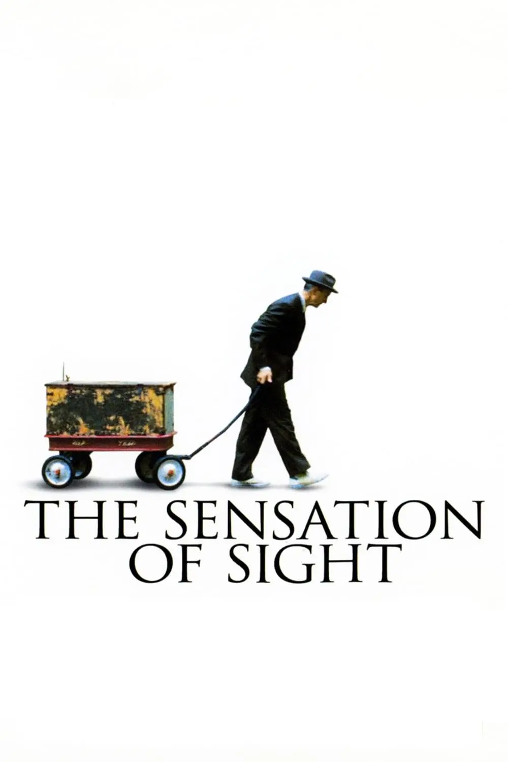 The Sensation of Sight_peliplat