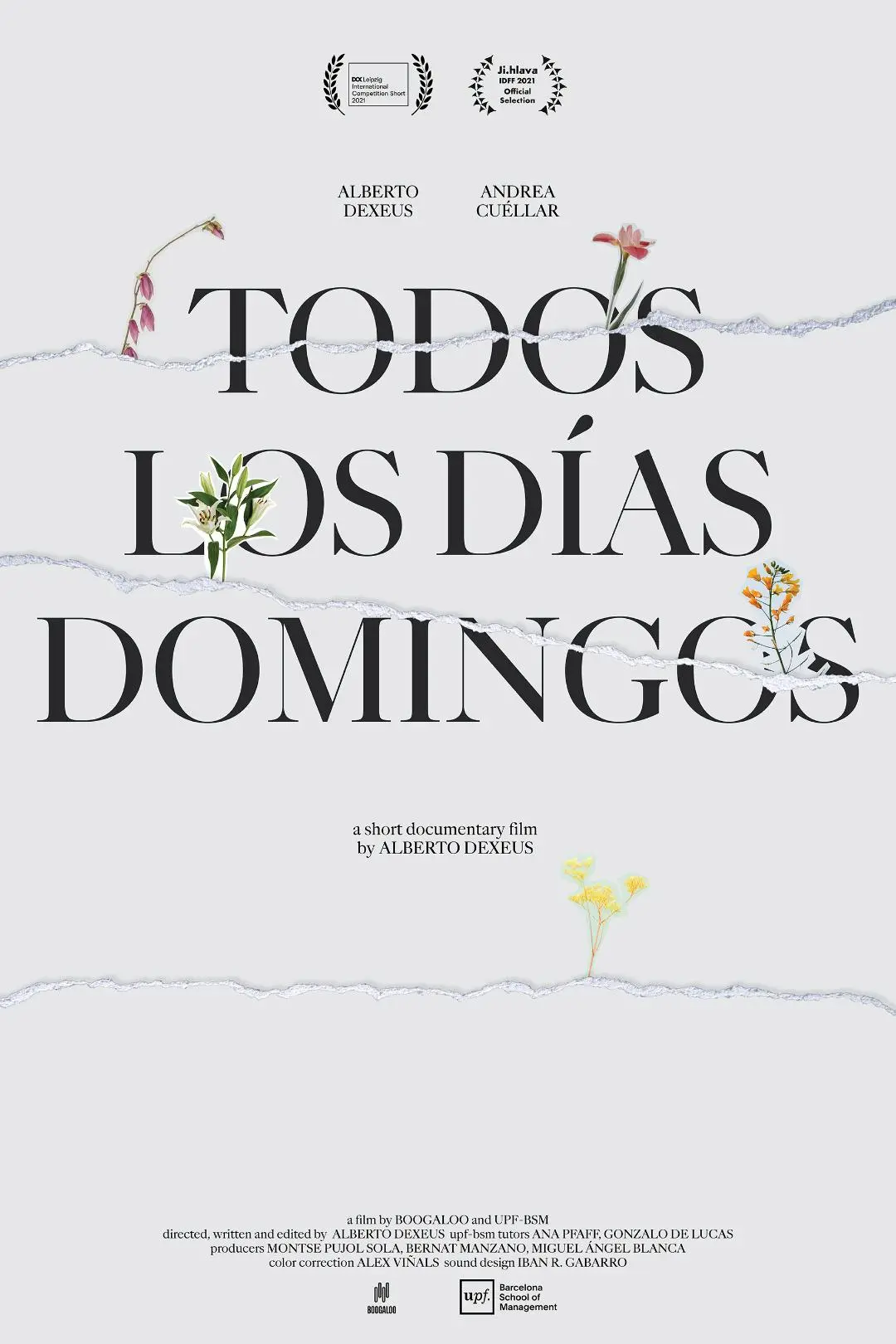 Todos los días domingos_peliplat