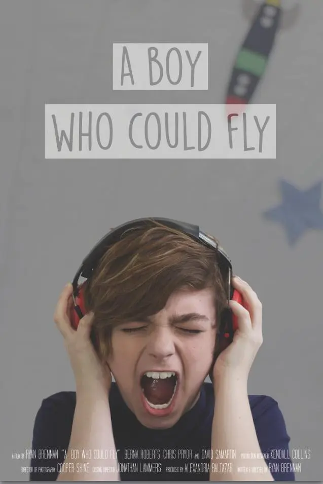 A Boy Who Could Fly_peliplat