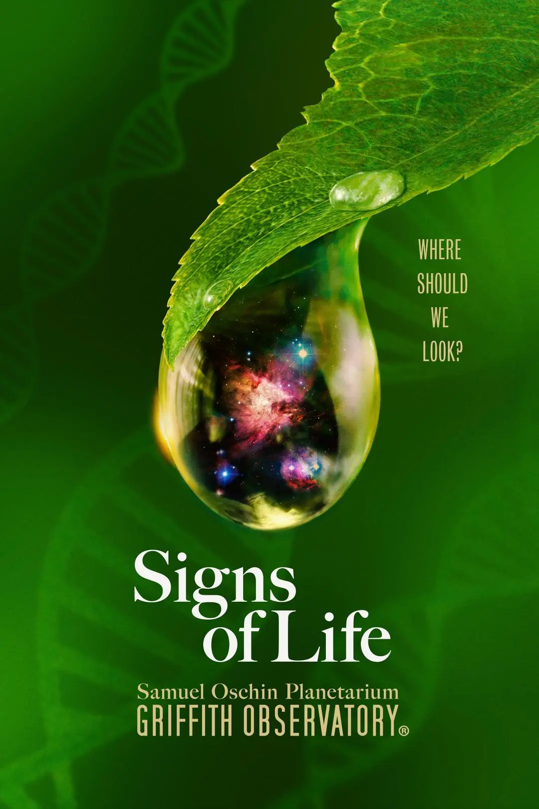 Signs of Life_peliplat